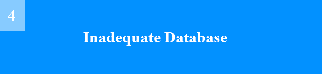 IT staffing_Inadequate Database